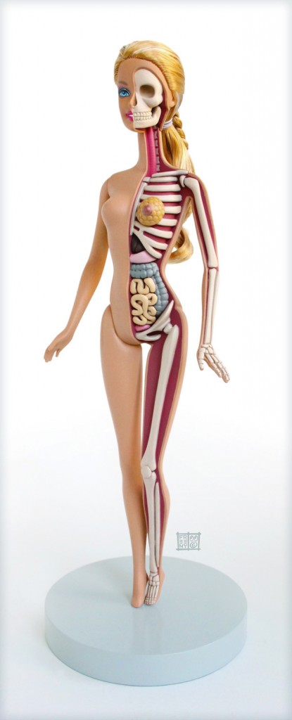 anatomical-barbie-1